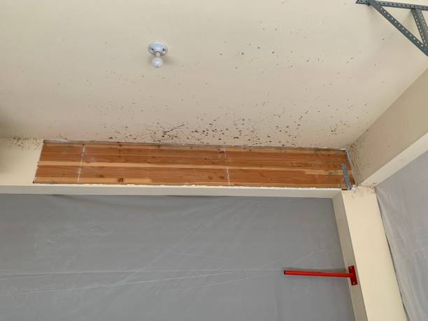 Best Mold Prevention Services  in Slippery Rock, PA