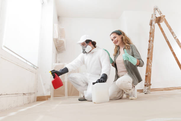 Best Emergency Mold Remediation  in Slippery Rock, PA